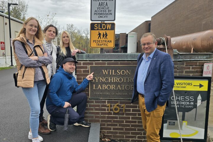 Wysokociśnieniowe badania SAXS w CHESS